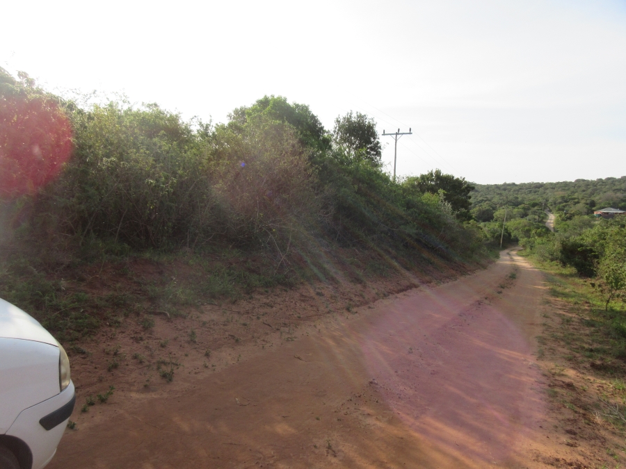 0 Bedroom Property for Sale in Bathurst Eastern Cape